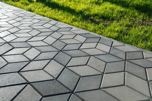 Best Driveway Paving Company  in Cayce, SC