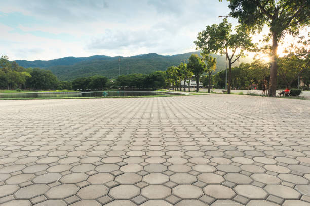 Best Residential Paver Driveway  in Cayce, SC