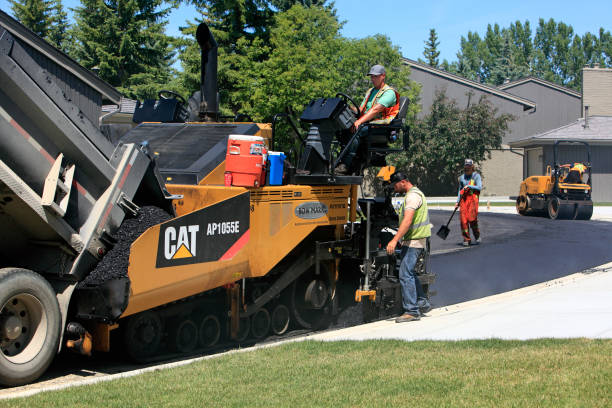 Best Driveway Paving Contractor  in Cayce, SC